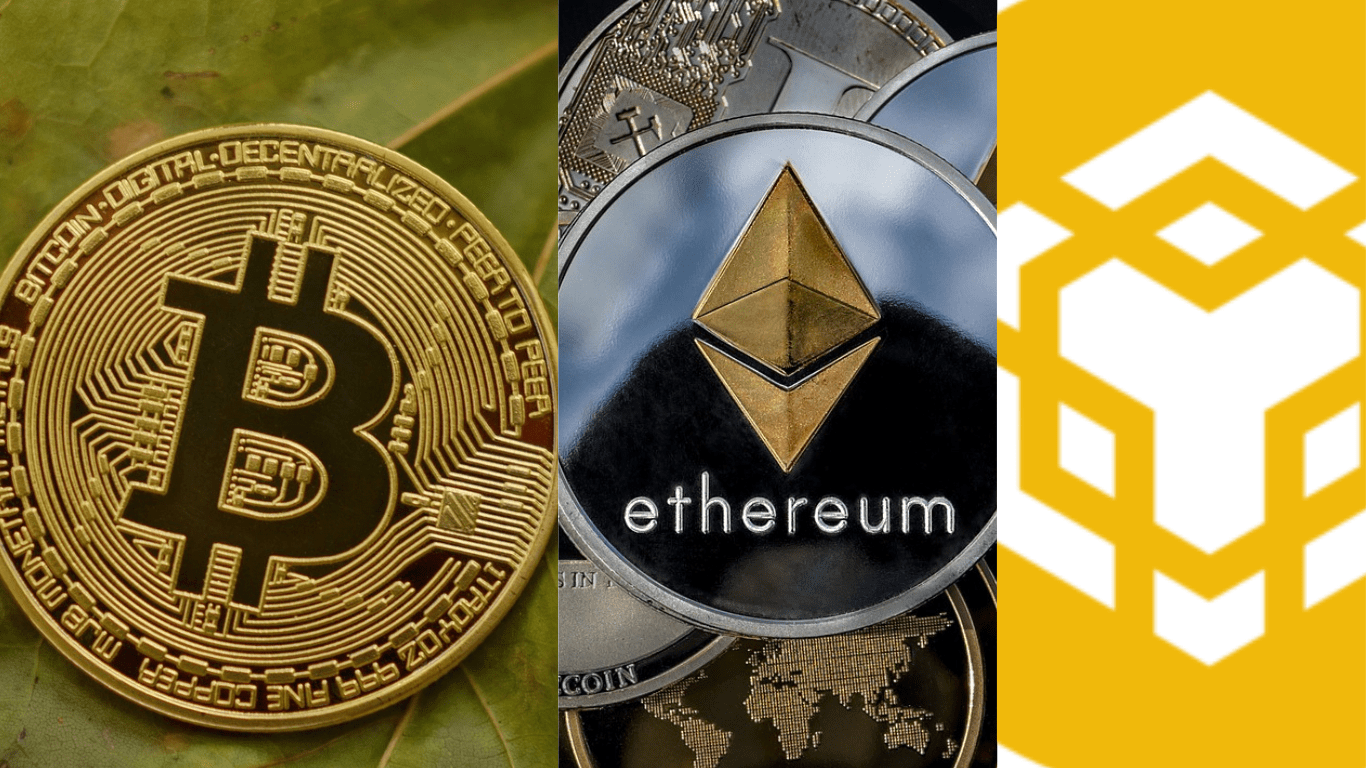 Best crypto To Buy Now For Beginners: 2024 2026, 2028 and 20230